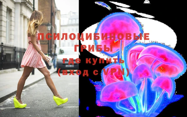 герыч Алексин