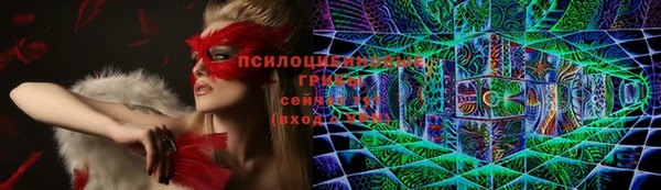 герыч Алексин